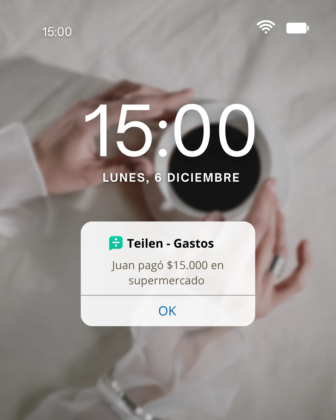 Notificación de todos tus gastos